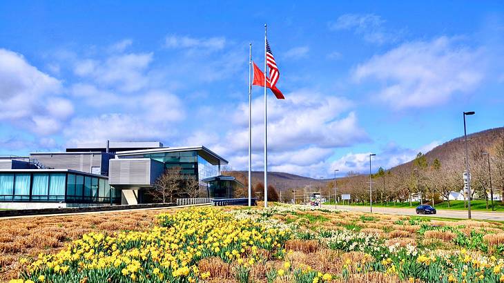 An area of grass with yellow flowers next to flags, hills, and a modern building