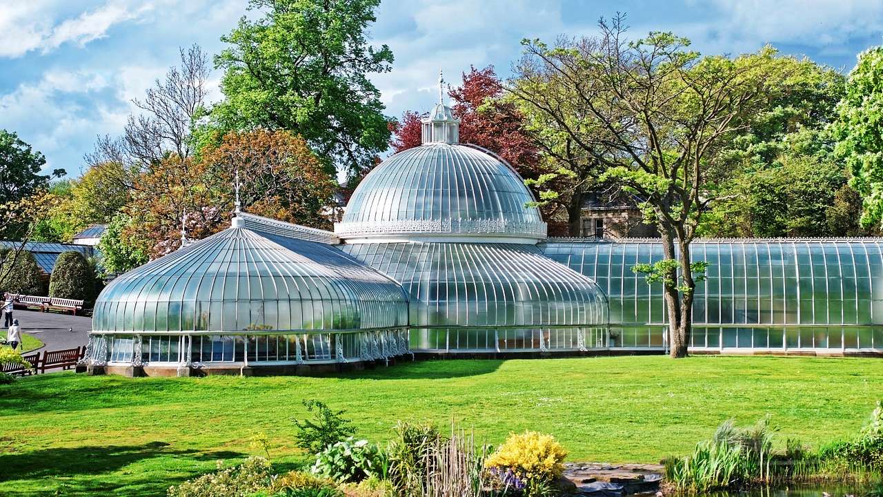 A greenhouse-type structure on the grass surrounded by trees