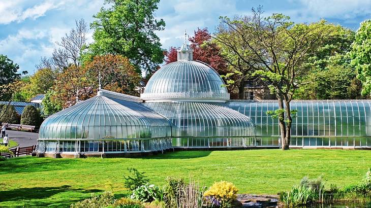 A greenhouse-type structure on the grass surrounded by trees