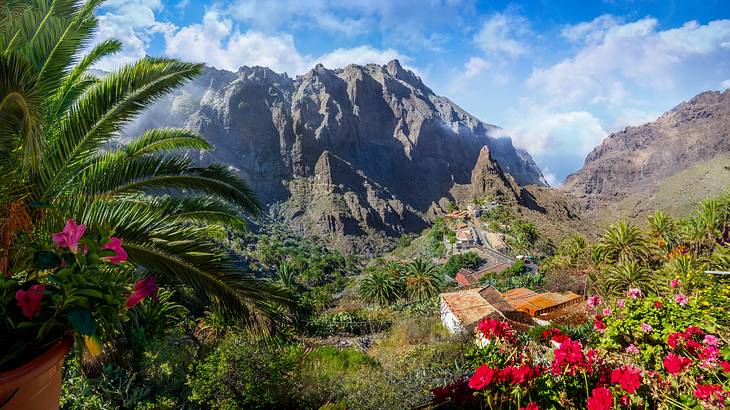 Mountain ranges with trees and blooming flowers under a blue sky with clouds