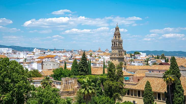 A skyline of a city with old buildings and a cathedral