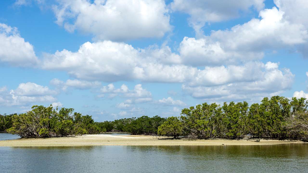 Looking towards an island with tropical green trees and mangroves on a nice day