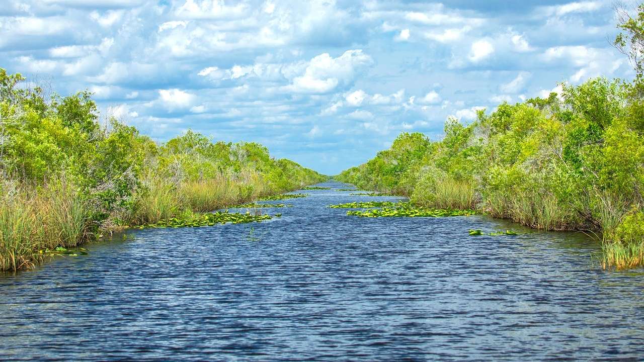 A waterway with greenery on either side under a blue sky with clouds
