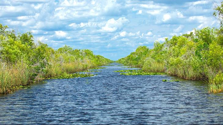 A waterway with greenery on either side under a blue sky with clouds