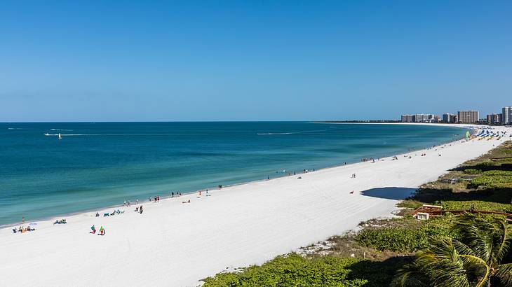 A white sand beach next to turquoise ocean and greenery on a bright day