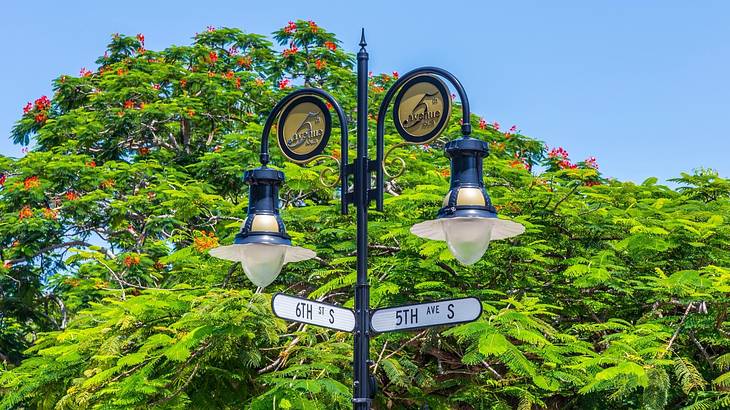 One of the fun things to do with kids in Naples, FL, is shopping on 5th Avenue South