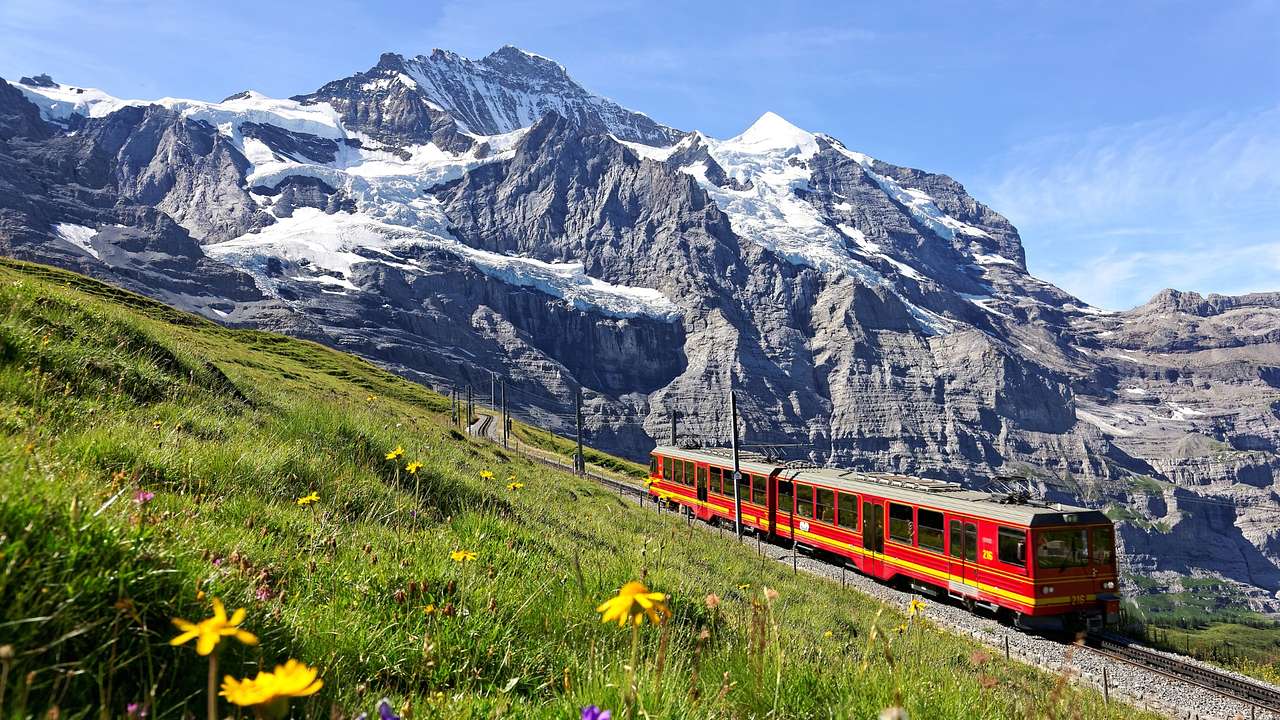 A red train on a track next to the grass and a snow-covered mountain