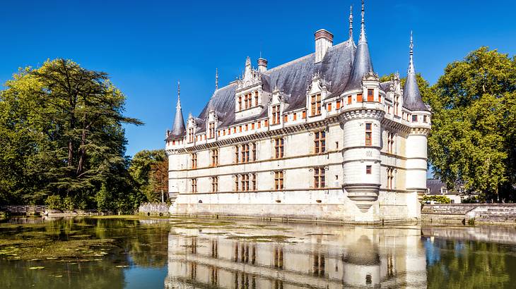 A low-angle shot of a castle with many spires near trees and a body of water