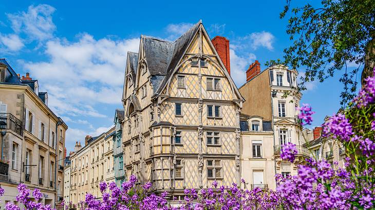 An old corner house with blooming flowers in the foreground