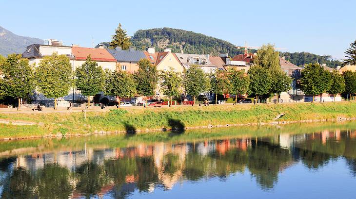 Houses surrounded by trees with their reflection on the body of water near it