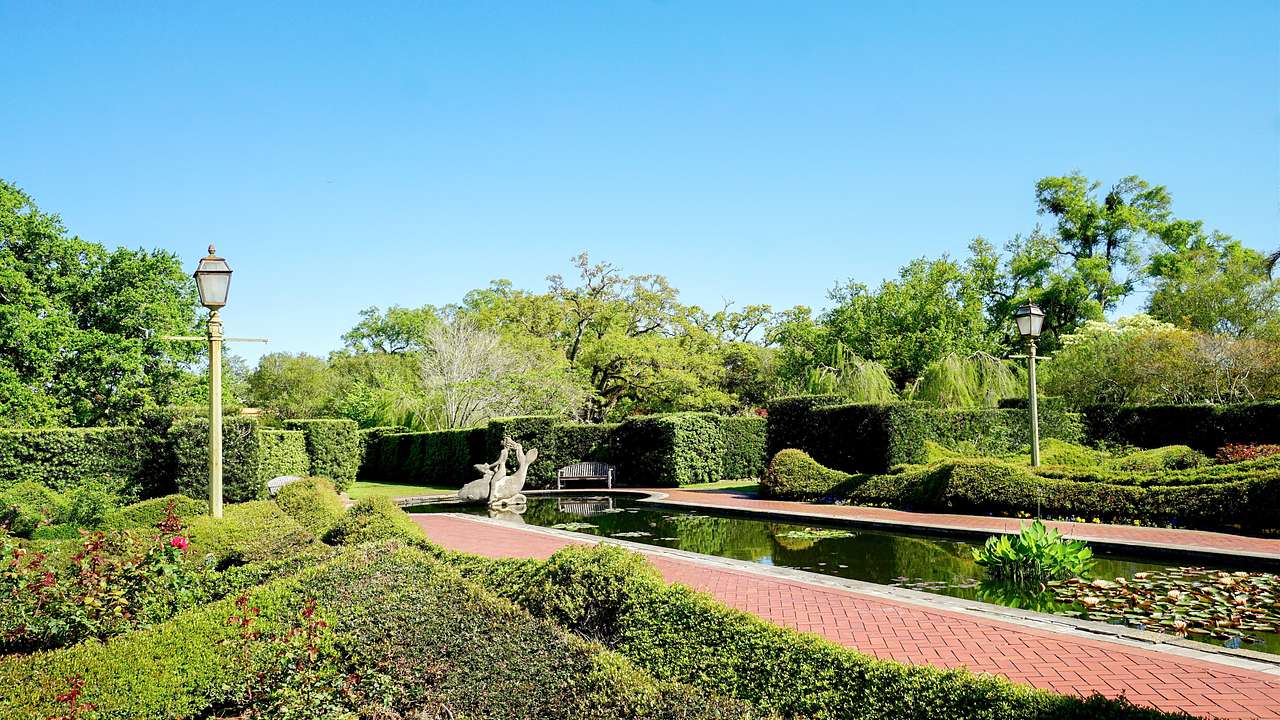 A landscaped garden of bushes, bricked walkway, and a pond