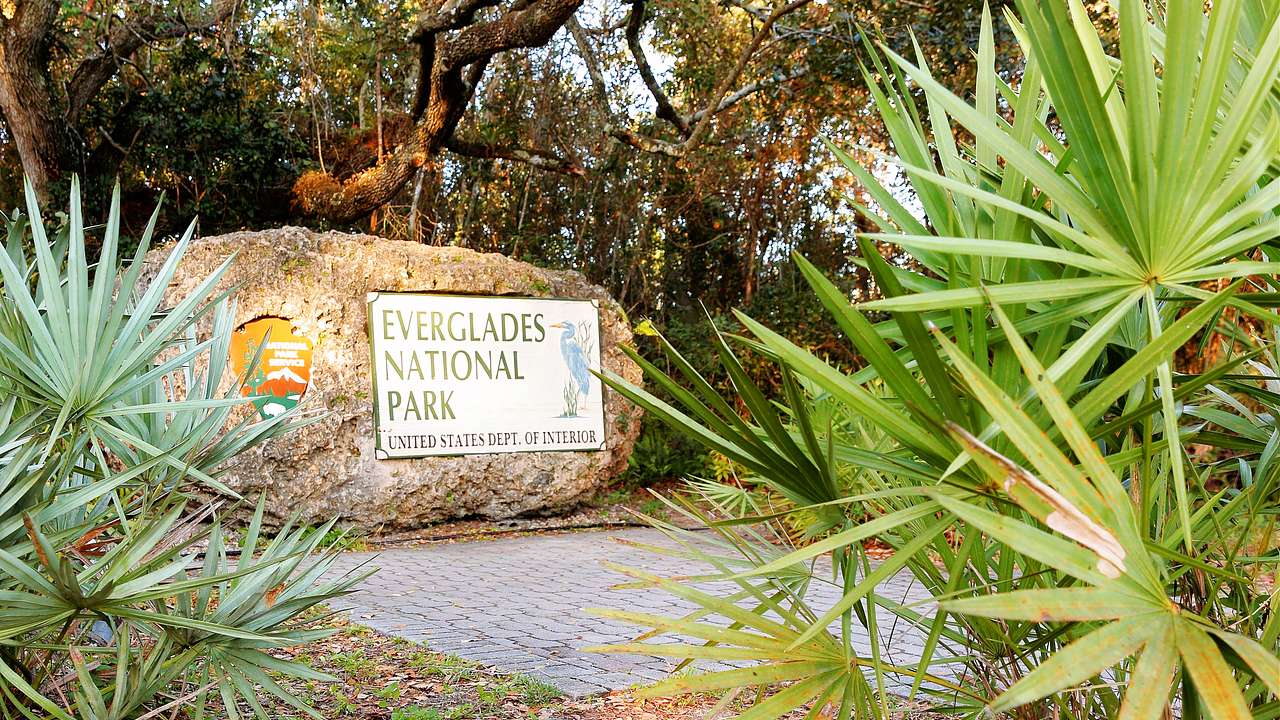 A rock with a sign saying "Everglades National Park"