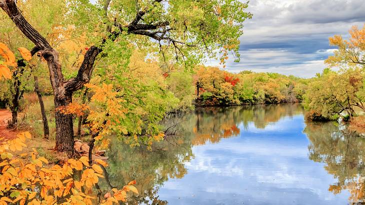 A lake surrounded by trees under a cloudy sky