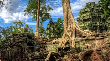 Un grande tronco d'albero che cresce sopra le vecchie rovine del tempio contro un cielo parzialmente nuvoloso