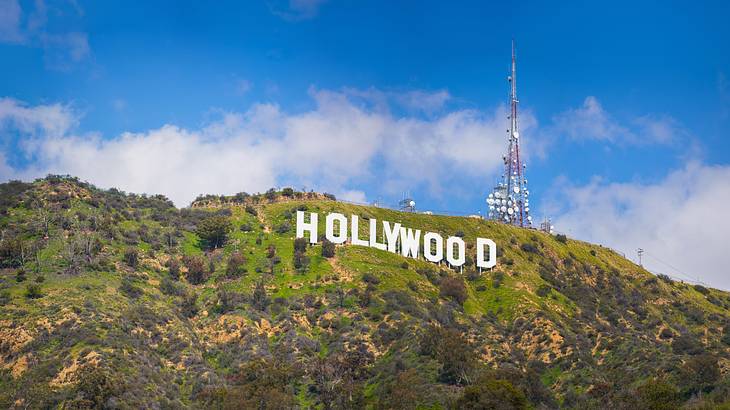 A low-angle shot of a sign saying "Hollywood" on a lush mountain