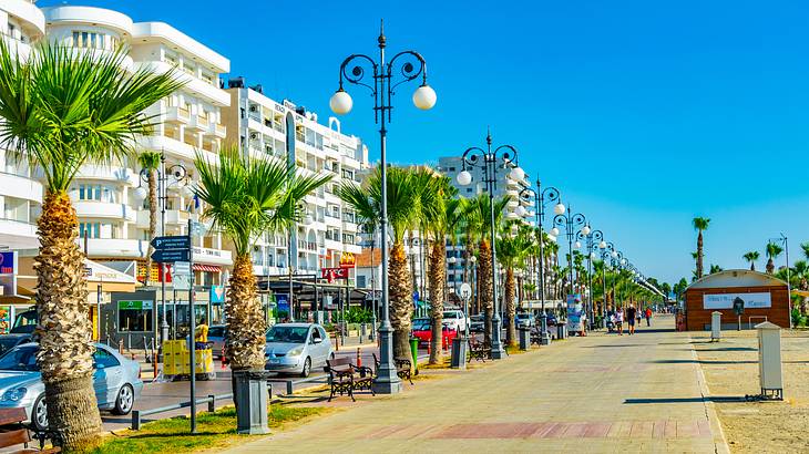 A promenade lined with trees and street lamps next to cars on the road and buildings