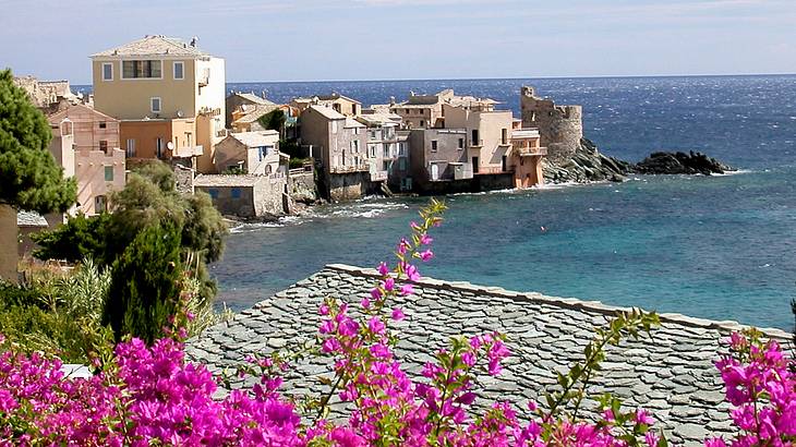 Houses built on the edge of a body of water, with trees and pink flowers in between