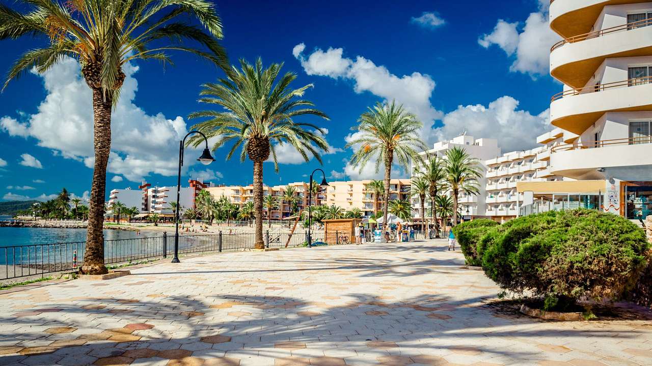 A promenade with palm trees and buildings next to the water under a partly cloudy sky
