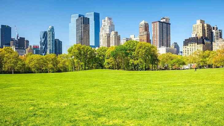Green grass and trees against a downtown skyline with tall modern buildings
