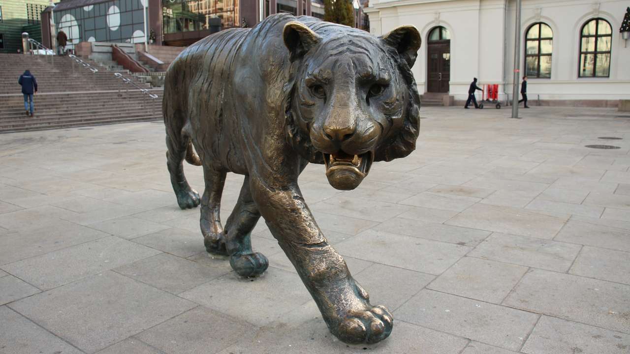 A bronze statue of a walking tiger in a square