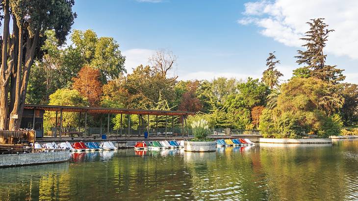 One of the best things to do in Santiago, Chile, is visiting Parque Quinta Normal