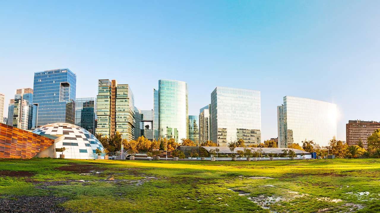 Grass in an urban park next to modern city buildings under a blue sky