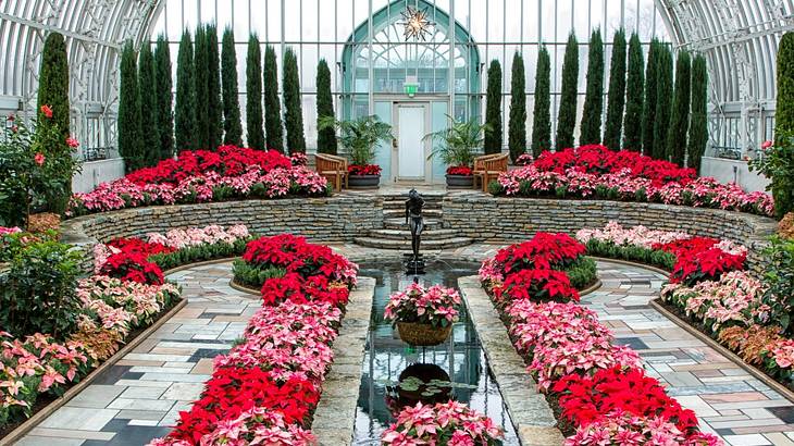 A garden in a glass conservatory with pink flowers, a water feature, and greenery