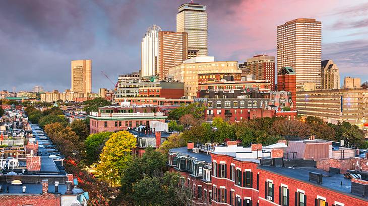 A view of city buildings and trees under a pink and purple sky