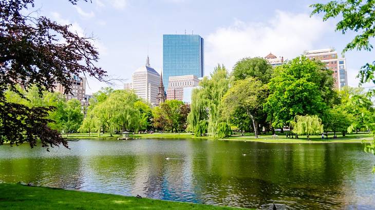 A pond surrounded by trees and city buildings on a sunny day