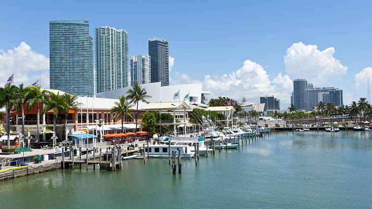 A bayside market with water in front and skyscrapers in the background