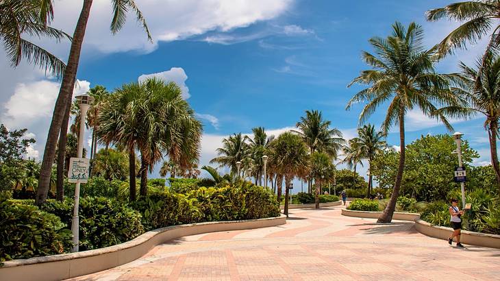 A patterned path with palm trees on either side of it under a blue sky with clouds
