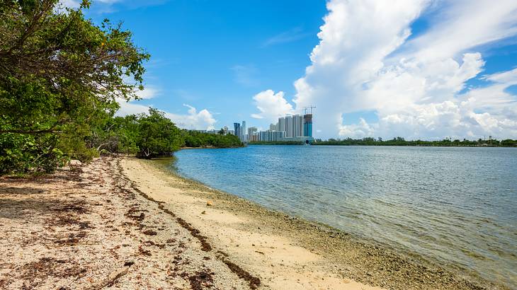 A sandy shore with trees and water on either side, and buildings in the distance