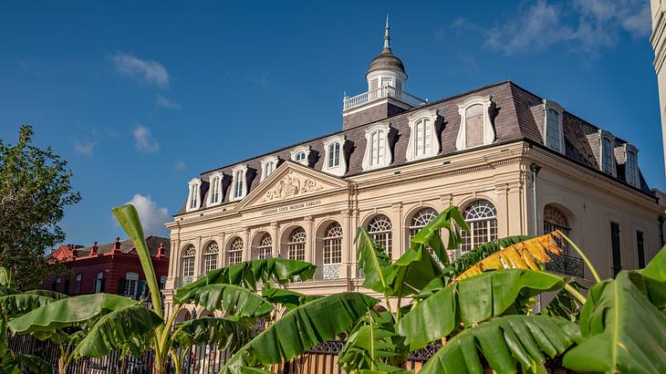 A large mansion-style building with trees in the foreground