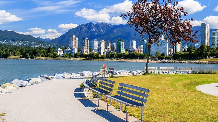 Benches in a park near a body of water with a cityscape in the background