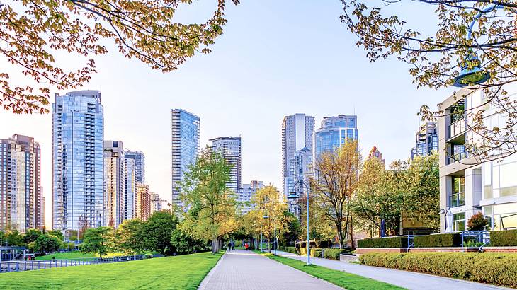 A walkway surrounded by lush lawn and tall skyscrapers in the background