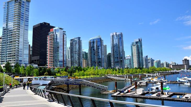 A path next to a marina with trees and city buildings in the distance