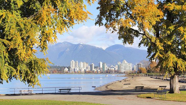 A park by the sea with an urban cityscape and mountains in the background