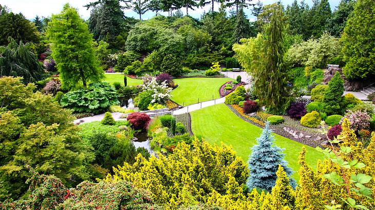 A lush park full of tall green trees and bushes, surrounding a green lawn