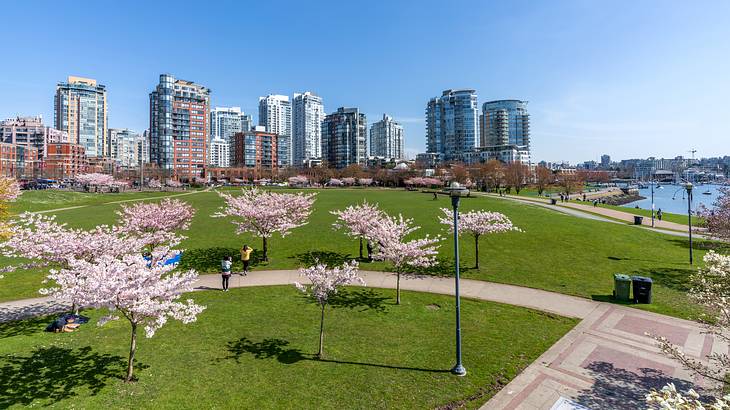 A path along a beach with grass and cherry trees on the right and buildings behind