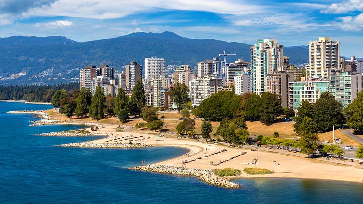 A beach with rows of logs in front of trees and buildings and mountains at the back