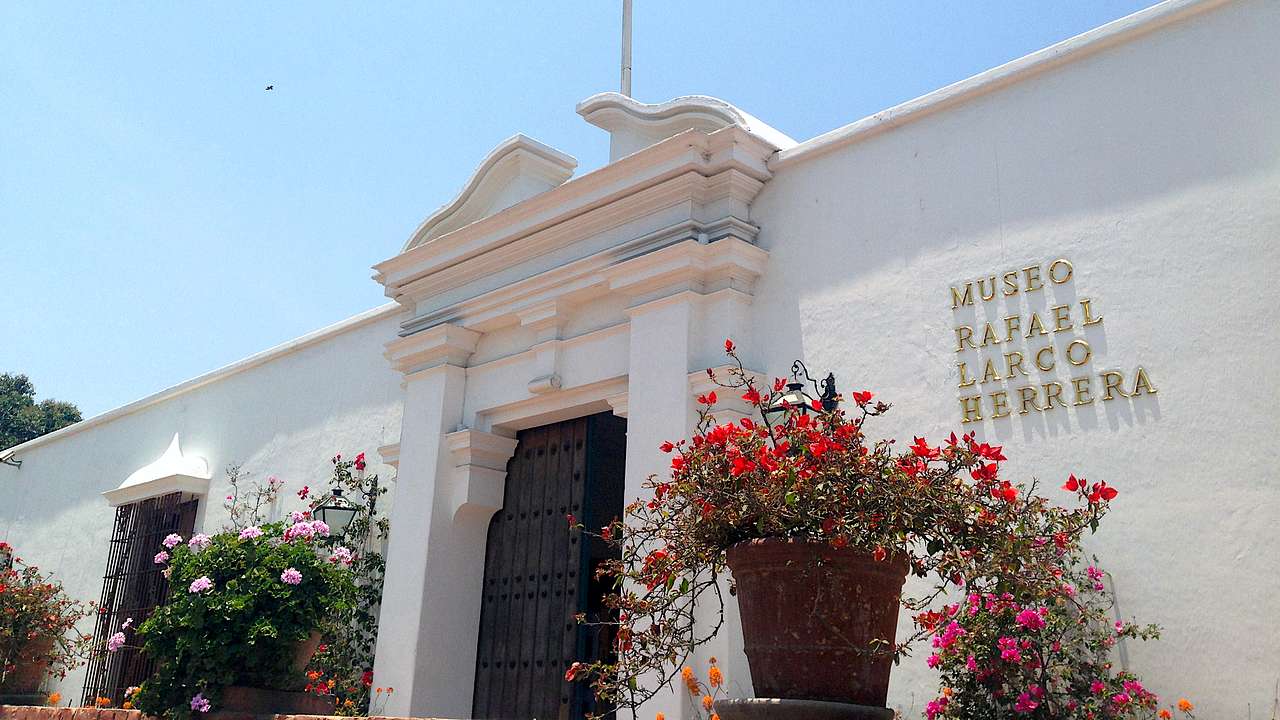 A white museum building entrance with pots of flowering plants in front