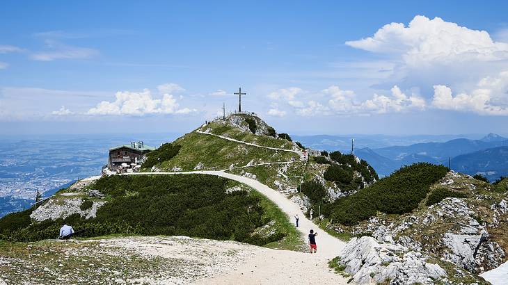 A view of the greenery-covered summit of a mountain with a path to it