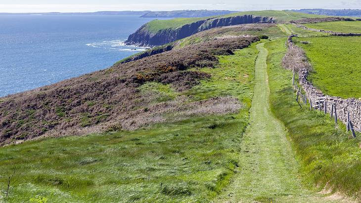 Cliffs topped by grassy fields and a path next to a blue body of water on a sunny day