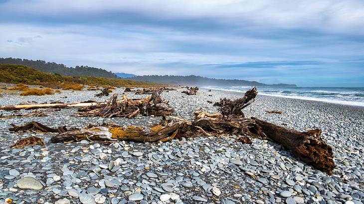 Driftwood on a rocky beach with waves lapping the shore