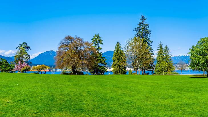 A green park with different trees, water, and mountains in the background