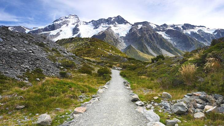 A rocky hiking trail amongst grass leading to snow-capped mountains at the back