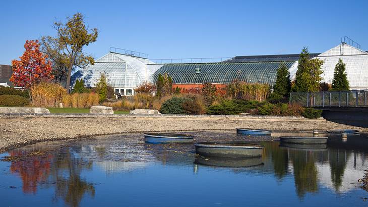 A pond in front of a lawn with bushes and trees surrounding a large greenhouse