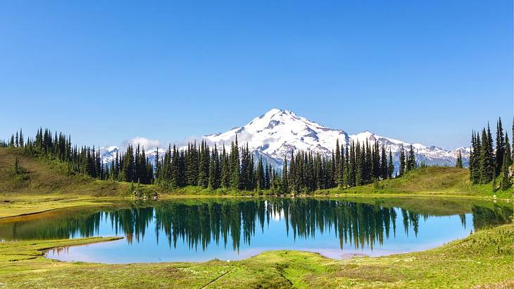 A snow-covered mountain with alpine trees, a lake, and grass in front of it