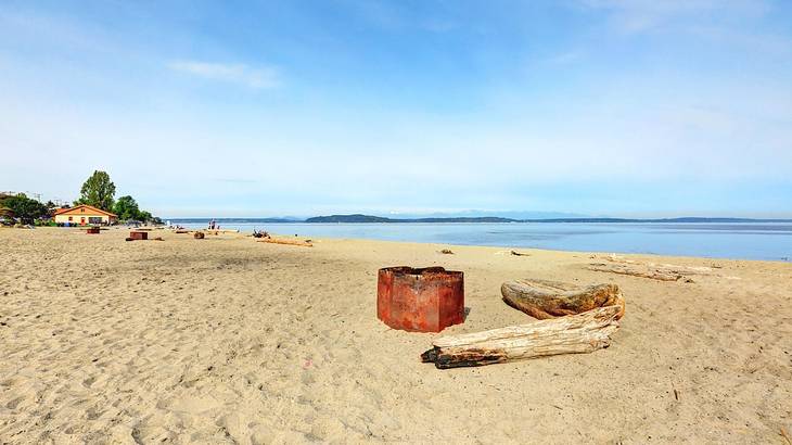 A sandy beach with driftwood next to the water and a small house in the distance