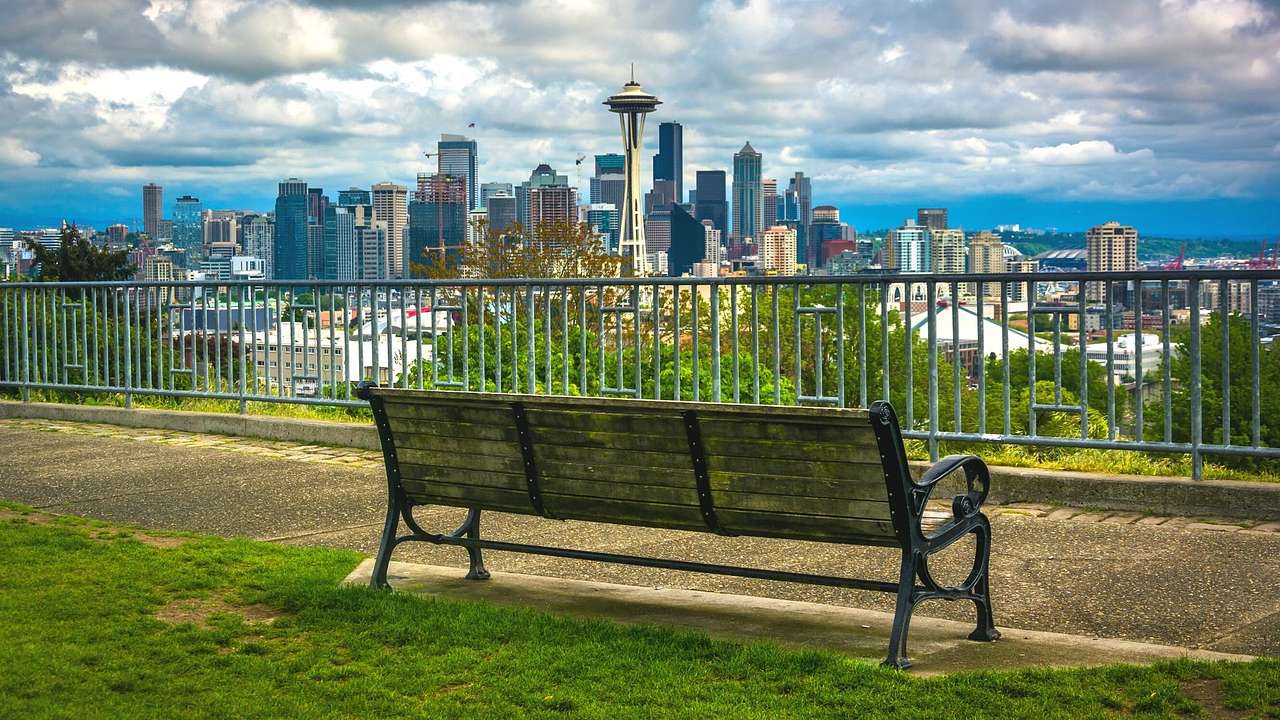 A bench on the grass with a path and a view of a city skyline in front of it